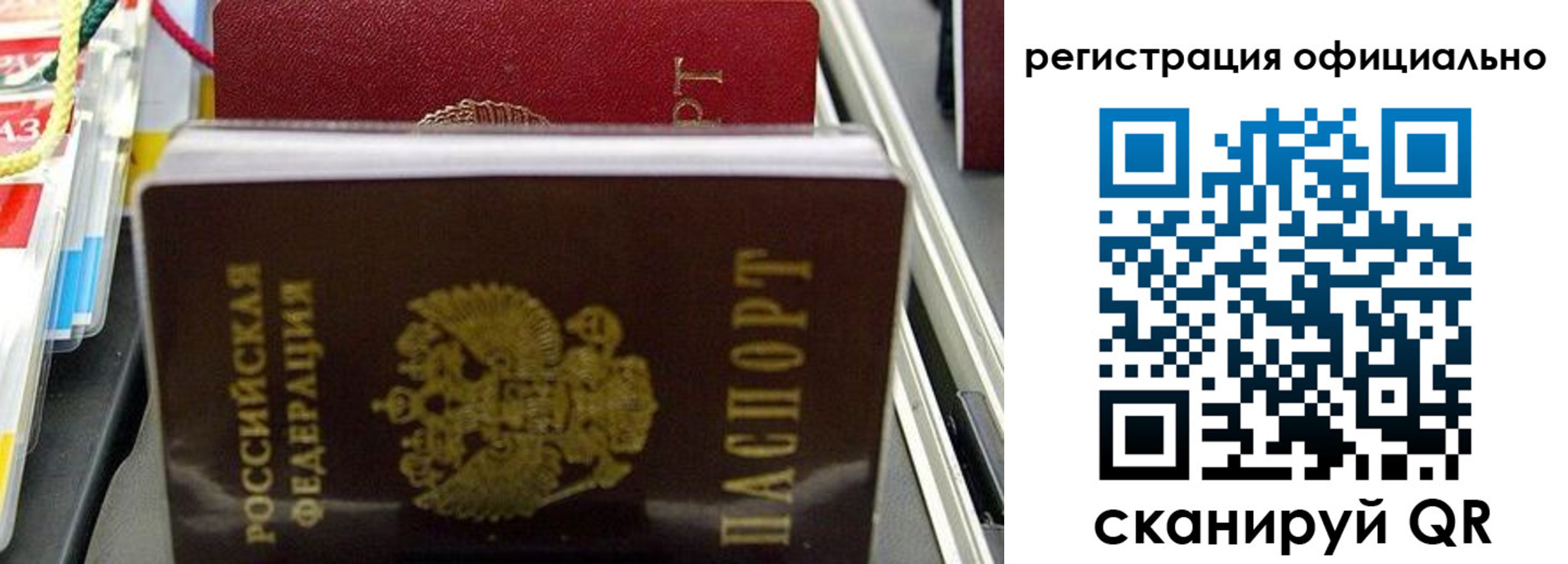 прописка 2025 в Сельцо